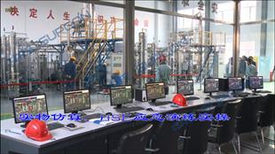 柴油加氫實(shí)物仿真裝置UTM-DHT